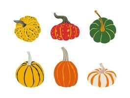 Cute pumpkins of different shapes and colours. Autumn, Thanksgiving, Halloween, harvest element set. vector