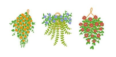 Hanging basket with flowers. Vector illustration. Trailing plants for a summer garden.