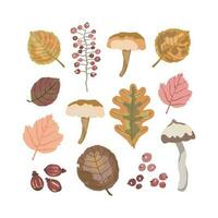 Set of forest life objects, mushrooms, leaves and berries. Watercolor effect hand drawn vector illustration. Autumn, fall.