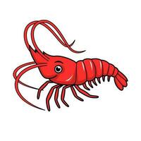 shrimp cartoon, animal illustration vector