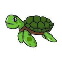 sea turtle cartoon, animal illustration vector