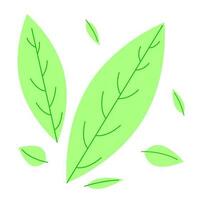 Leaves icon vector set isolated on white background. Elements for eco and bio logos and website.