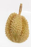 Durian meses,fresco Durian Fruta con aislado antecedentes foto