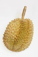 Durian Monthong,Fresh durian fruit with isolated background photo