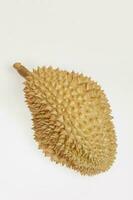 Durian Monthong,Fresh durian fruit with isolated background photo