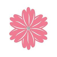 summer floral pink daisy flower vector