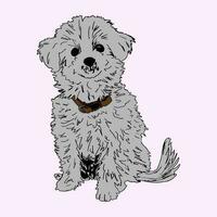 Fluffy Little Puppy illustration vector art