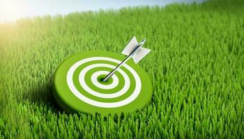 Environment target of Green business with grass and target sign photo