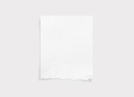 Torn paper edges. Ripped paper texture. Paper tag. White paper sheet for background with clipping path. Close up. photo