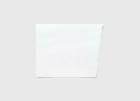 Torn paper edges. Ripped paper texture. Paper tag. White paper sheet for background with clipping path. Close up. photo