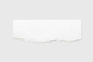 Torn paper edges. Ripped paper texture. Paper tag. White paper sheet for background with clipping path. Close up. photo