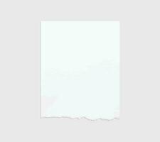 Torn paper edges. Ripped paper texture. Paper tag. White paper sheet for background with clipping path. Vector. vector