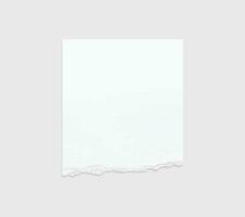 Torn paper edges. Ripped paper texture. Paper tag. White paper sheet for background with clipping path. Vector. vector