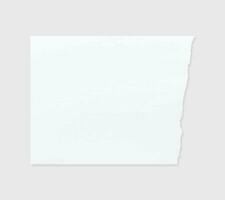 Torn paper edges. Ripped paper texture. Paper tag. White paper sheet for background with clipping path. Vector. vector