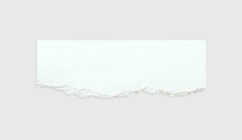 Torn paper edges. Ripped paper texture. Paper tag. White paper sheet for background with clipping path. Vector. vector