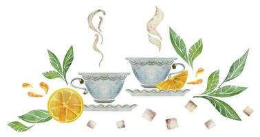 Watercolor hand drawn illustration. Tea cups on saucers, green leaves and juicy lemon slices. Isolated objects on white background. For invitations, cafe, restaurant food menu, print, website, cards vector