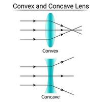 Convex and Concave Lens. Refraction of Light. vector