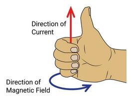 Derecha mano pulgar regla vector