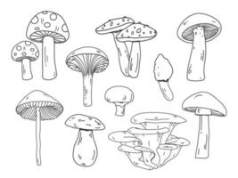 Mushroom doodle vector set