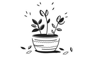 potted plant vector illustration, hand drawn, in doodle style ,on isolated white background