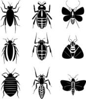 set of insect icon vector