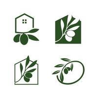 Set of olive logo design collection with modern concept vector