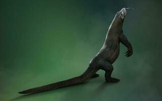 3D rendering of a komodo dragon isolated on green background with clipping path. photo