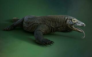 3D rendering of a komodo dragon isolated on green background with clipping path. photo