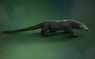 3D rendering of a komodo dragon isolated on green background with clipping path. photo