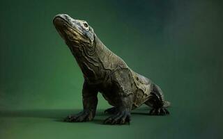 3D rendering of a komodo dragon isolated on green background with clipping path. photo