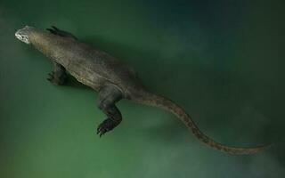 3D rendering of a komodo dragon isolated on green background with clipping path. photo