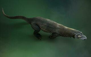 3D rendering of a komodo dragon isolated on green background with clipping path. photo