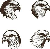 Vector illustration of Bald eagle