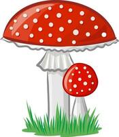 Fly agaric vector image without background