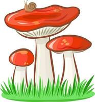 Russula mushroom vector image without background