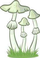 Death Cap vector image without background