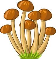 Honey agaric vector image without background