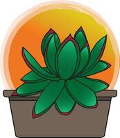 Abstract Echeveria Agavoides cactus plant in the pot with circle orange gardient background. vector