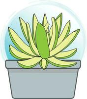 resumen echeveria hookeri planta en el maceta con azul circulo gardient antecedentes. vector