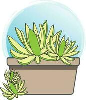 resumen echeveria hookeri planta en el maceta con azul circulo gardient antecedentes. vector