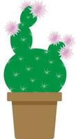 Abstract Cactus plant in the pot with pink flower. vector