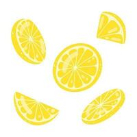 conjunto de mano dibujado limón rebanadas vector ilustración de cortar sabroso agrios, sano alimento, verano Fresco Fruta