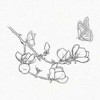 Magnolia flower and butterfly line drawing vector