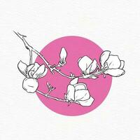 Magnolia flower line drawing with abstract background vector