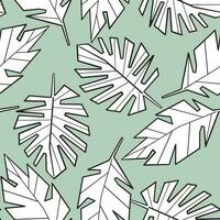 vector pattern with graphic monstera tropical leaves