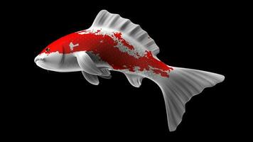 foto vistoso 3d representación koi pescado con blanco y rojo color patrones y lado ver