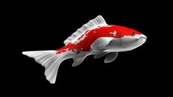 Photo colorful 3d rendering koi fish with white and red color patterns and side view