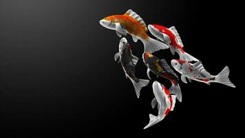 Illustration 3d rendering of swimming koi fish with various patterns and colors photo