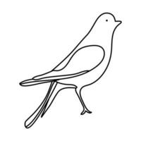 Bird single line Design and line art vector drawing