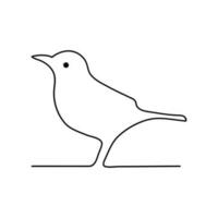 Bird single line Design and line art vector drawing